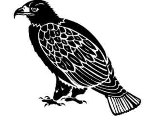  Birds_ Eagle_ 1 2 9_ V A 1 Decal Proportional