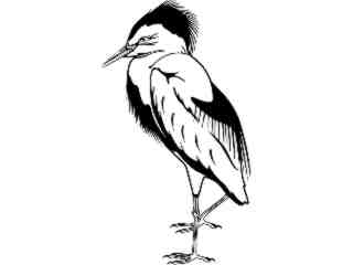  Birds_ Egret T G_ P A 1 Decal Proportional