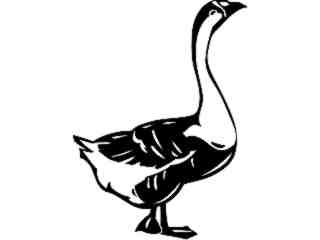 Birds_ Goose_ P A 1 Decal Proportional