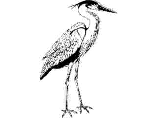  Birds_ Great Heron T G_ P A 1_ D T L Decal Proportional