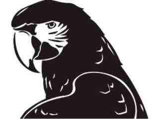  Birds_ Macaw_ P A 1 Decal Proportional