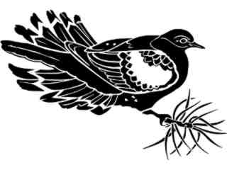  Birds_ Morning Dove_ 1 2 9_ V A 1 Decal Proportional