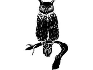  Birds_ Owl_ 1 2 9_ V A 1 Decal Proportional