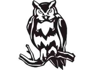  Birds_ Owl_ P A 1 Decal Proportional