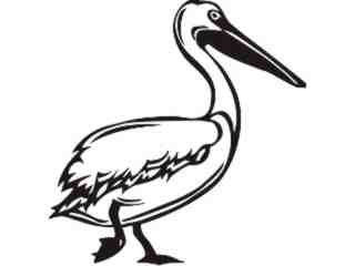  Birds_ Pelican_ P A 1 Decal Proportional