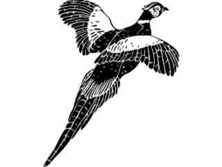  Birds_ Pheasant_ 1 2 9_ V A 1 Decal Proportional