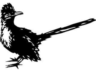  Birds_ Roadrunner_ P A 1 Decal Proportional