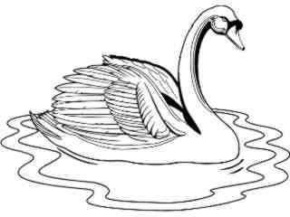  Birds_ Swan T G_ P A 1_ D T L Decal Proportional