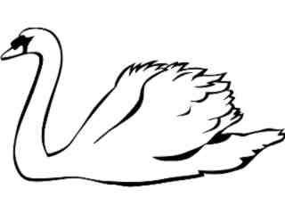  Birds_ Swan_ P A 1 Decal Proportional