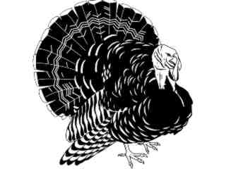  Birds_ Turkey T G_ P A 1_ D T L Decal Proportional