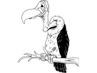  Birds_ Vulture T G_ P A 1_ D T L Decal Proportional