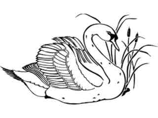  Birds_ White Swan_ 1 2 9_ V A 1 Decal Proportional