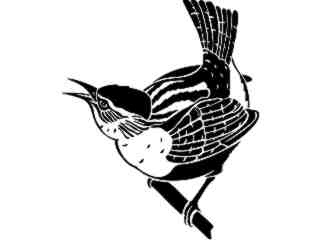  Birds_ Wren_ 1 2 9_ V A 1 Decal Proportional
