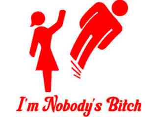  Bitch Nobody Decal Proportional