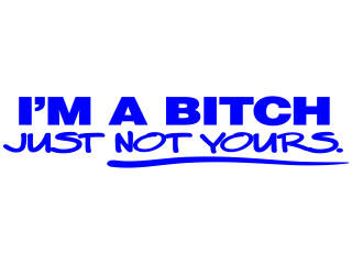  Bitch Not Yours Decal Proportional