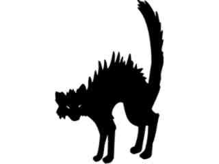  Black Cat Decal Proportional