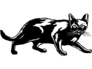  Black Cat Path Decal Proportional