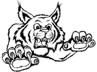  Bob Cat Claw In_ M B 1 Decal Proportional