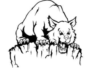  Bob Cat Look Down_ M B 1 Decal Proportional