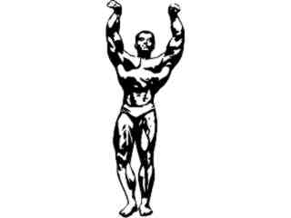  Body Builder 3 Decal Proportional