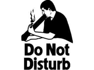  Bong Hitter Disturb Decal Proportional