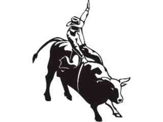  Bull Rider_ P A 1 Decal Proportional