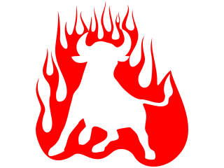  Bull Toro Flames Decal Proportional