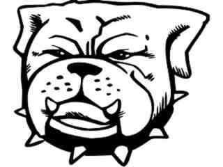  Bulldog Grouch_ G D G Decal Proportional