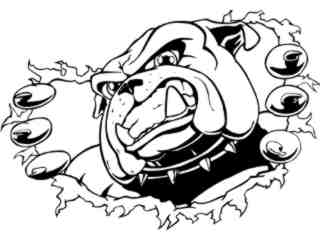  Bulldog Rip Steel_ M B 1 Decal Proportional