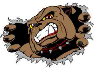  Bulldog Ripping_ C L 2 Decal Proportional