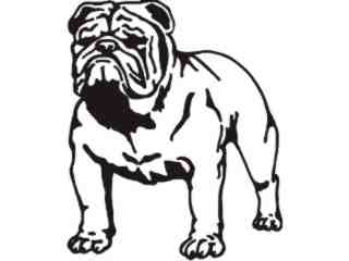  Bulldog Stance_ M M 1 Decal Proportional