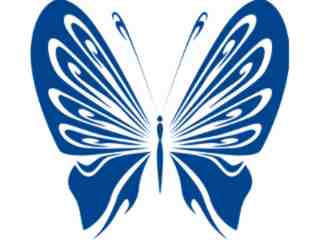  Butterflies Fantastic_ 0 6 6 Decal Proportional