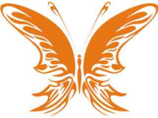  Butterflies Fantastic_ 0 8 2 Decal Proportional