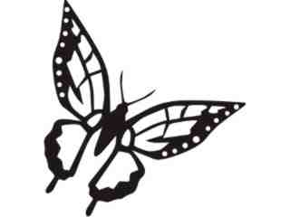  Butterfly 0 6 Decal Proportional