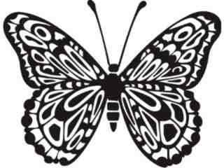  Butterfly 0 8 Decal Proportional