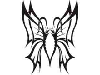  Butterfly Tribalized_ 1 0 4 Decal Proportional