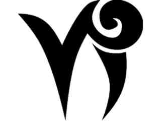  Capricorn 1 3_ A S 1 Decal Proportional