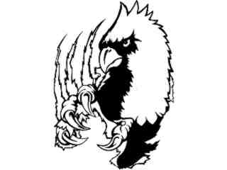  Cardinal Claw_ M B 1 Decal Proportional