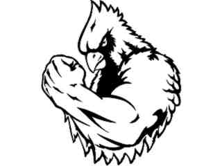  Cardinal Flex Bicep_ M B 1 Decal Proportional