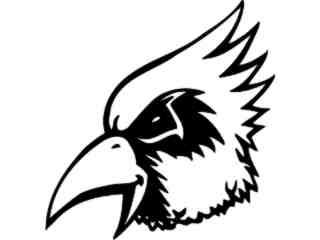  Cardinal Head 1_ M B 1 Decal Proportional