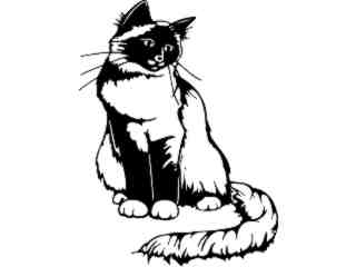  Cat_ 1 3 8_ V A 1 Decal Proportional