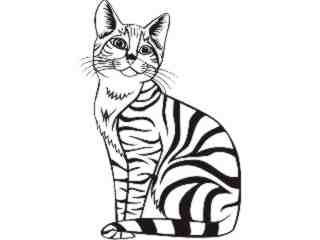  Cat_ 1 4 5_ V A 1 Decal Proportional