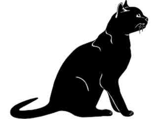  Cats_ Bombay_ 1 3 1_ V A 1 Decal Proportional