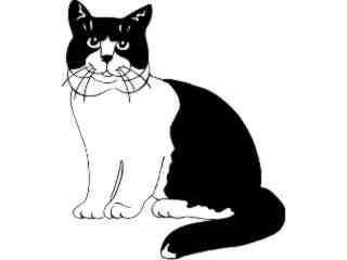  Cats_ British Bi Color_ 1 3 1_ V A 1 Decal Proportional