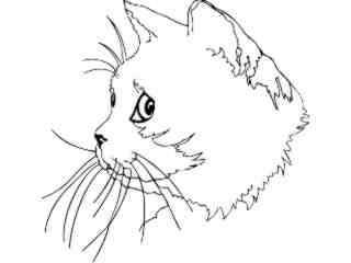  Cats_ British Shorthair_ 1 3 1_ V A 1 Decal Proportional