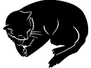  Cats_ Cat Nap_ 1 3 2_ V A 1 Decal Proportional