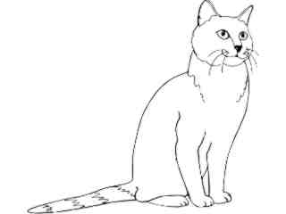  Cats_ Chartreux_ 1 3 1_ V A 1 Decal Proportional