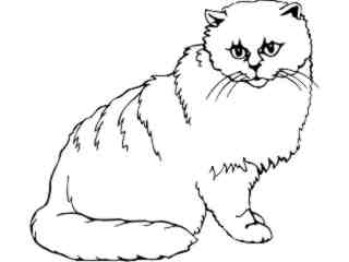  Cats_ Chinchilla_ 1 3 1_ V A 1 Decal Proportional