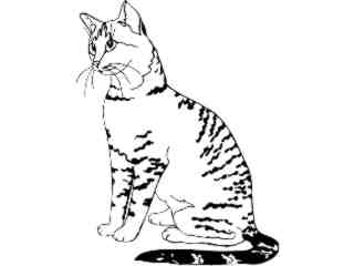  Cats_ Egyptian Mua_ 1 3 1_ V A 1 Decal Proportional
