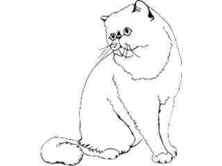 Cats_ Exotic Shorthair_ 1 3 1_ V A 1 Decal Proportional